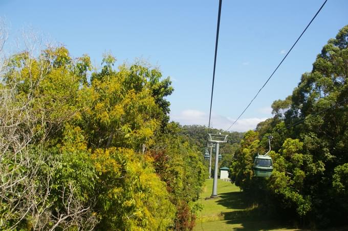 Skyrail Rainforest Cableway Tickets