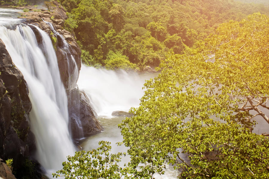 Athirapally Waterfalls Day Trip Image