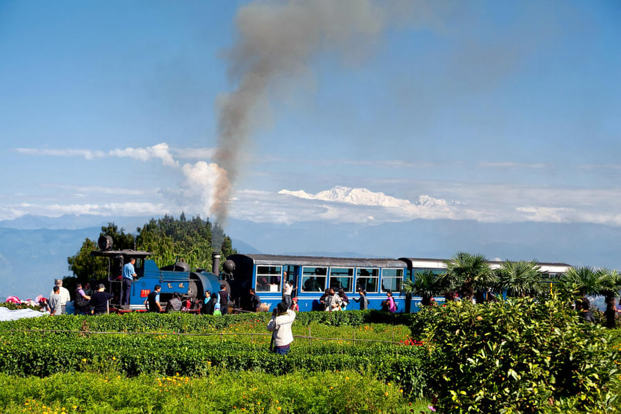 Discover Darjeeling - Train Expedition Image