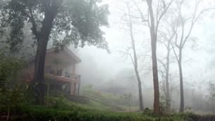 Fdlm044ioy5dipfc7n1dkb9d7o7l 02%20(1)