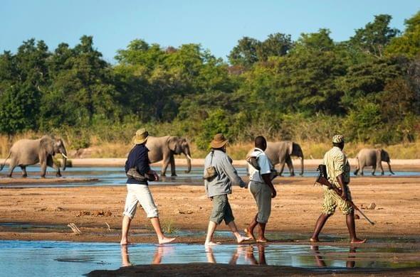 4-Day Rustic Safari in South Luangwa.jpg