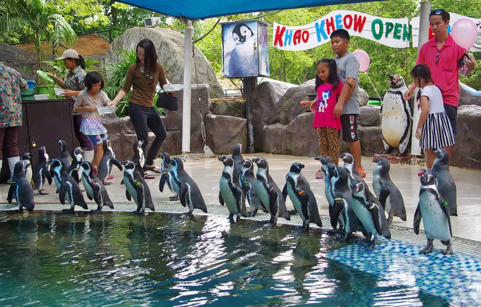 Khao Kheow Open Zoo, <em>Pattaya</em>