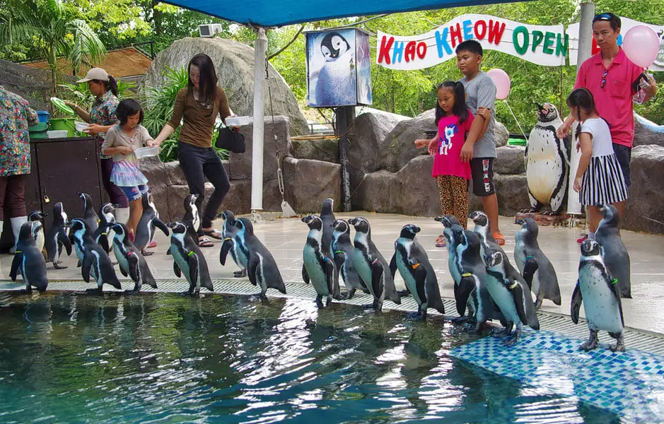 Khao Kheow Open Zoo