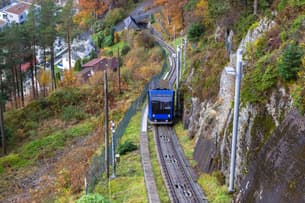 Fdt131vhewqzcty6u5jnthn8xaym tram%20ride%201