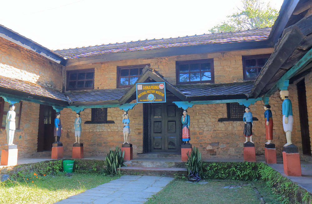 Annapurna Butterfly Museum Overview
