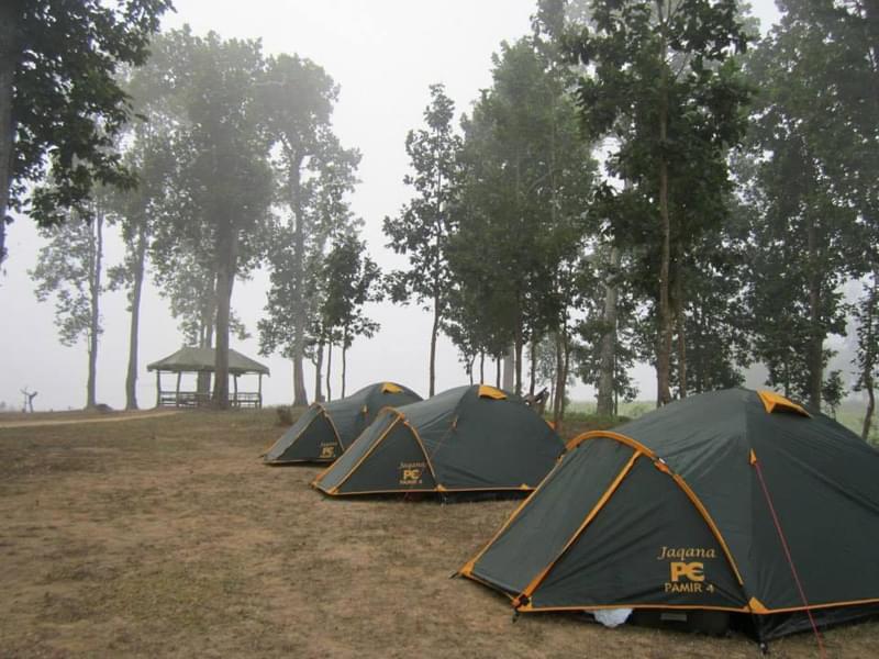 Chandubi Jungle Camp, Assam Image