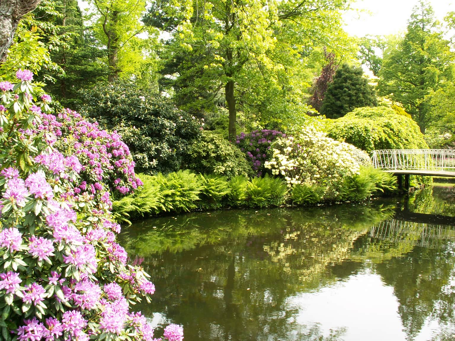Arboretum Trompenburg, <em>Rotterdam</em>