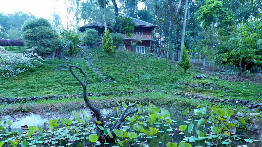Luxurious Stay Amid Coffee Plantation in Wayanad Image