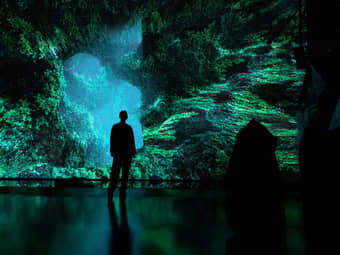 Witness the installations by Heleen Blanken