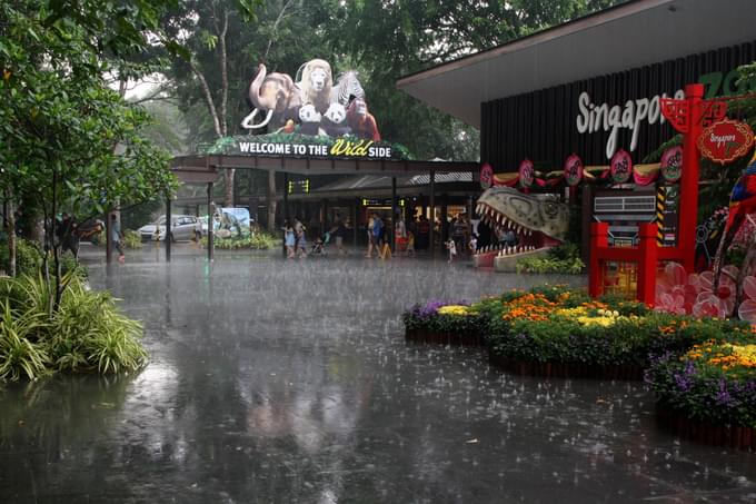 Singapore Zoo