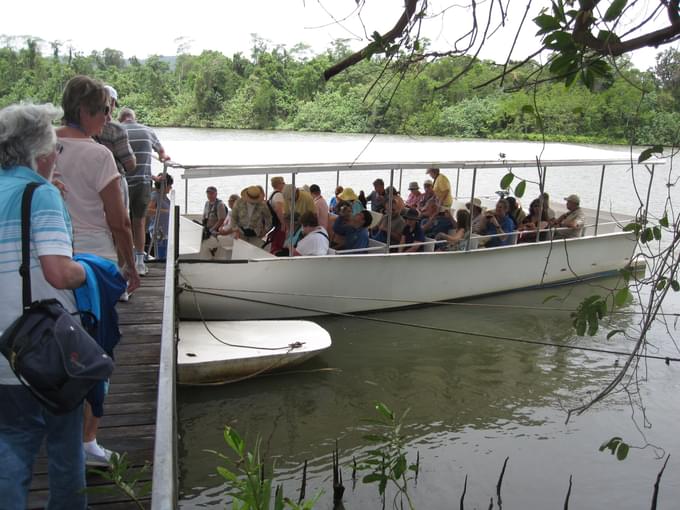 Things To Do In Daintree National Park