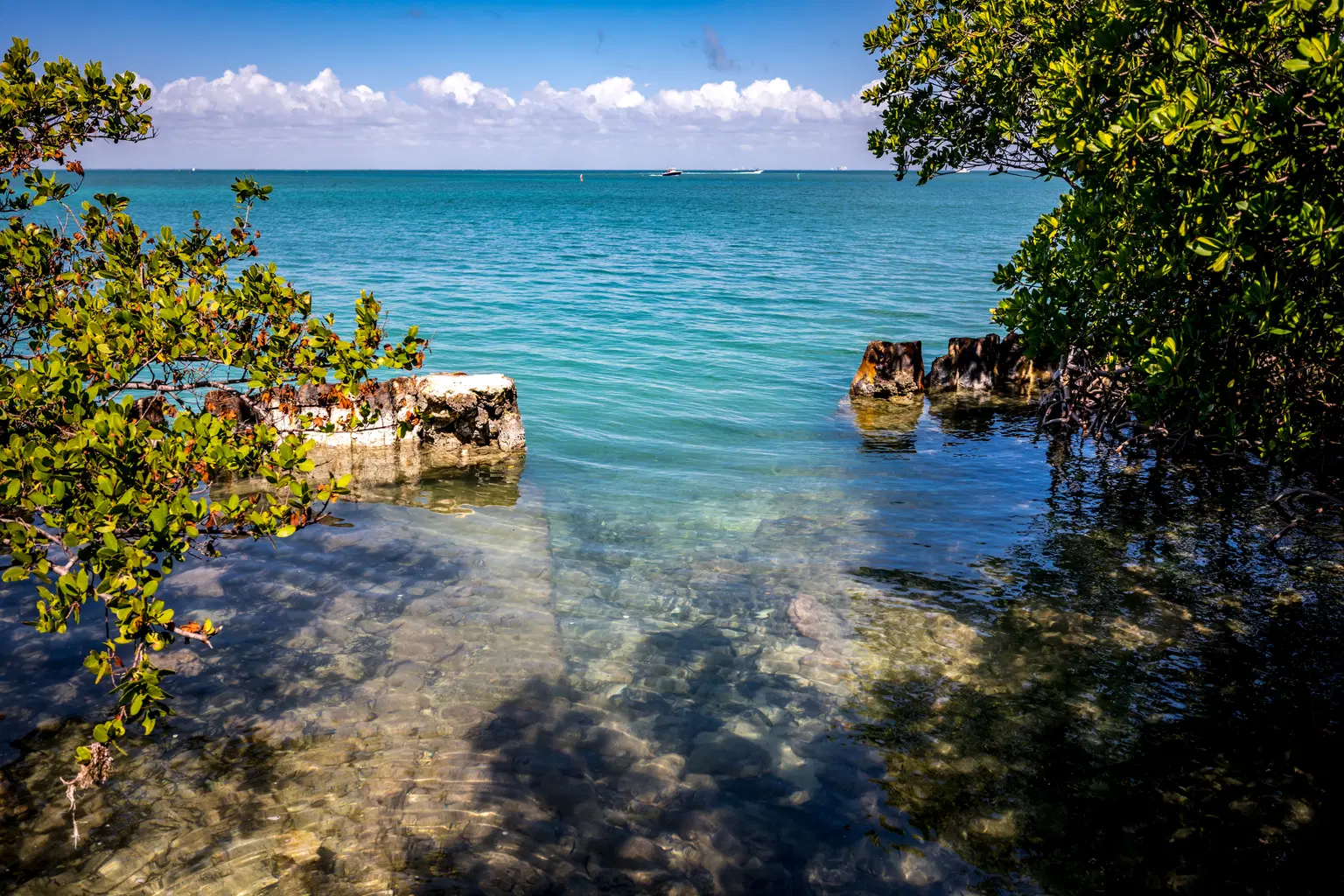 Mangrove National Park