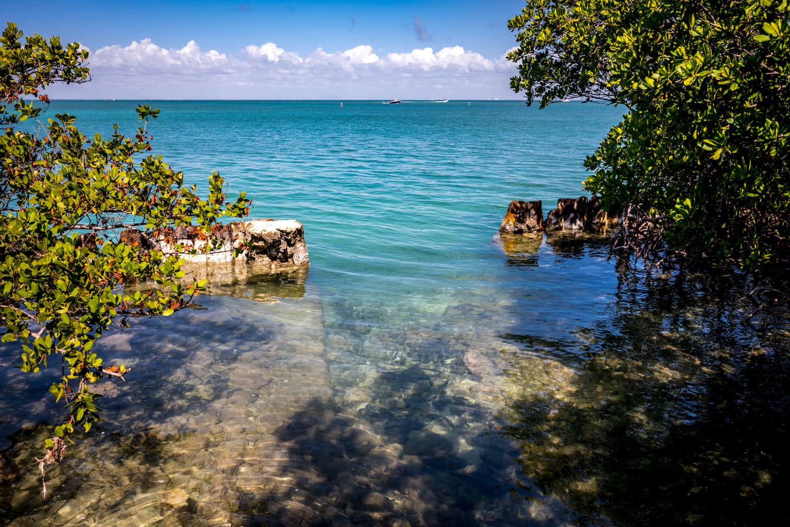 Mangrove National Park, <em>Abu Dhabi</em>