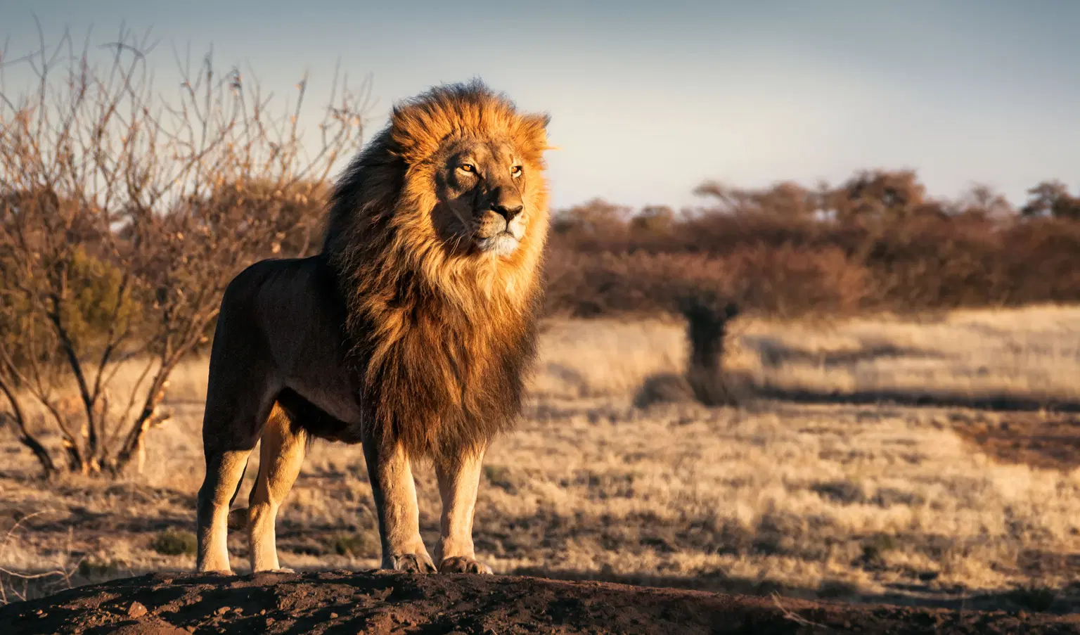 Africa Group Tour Packages