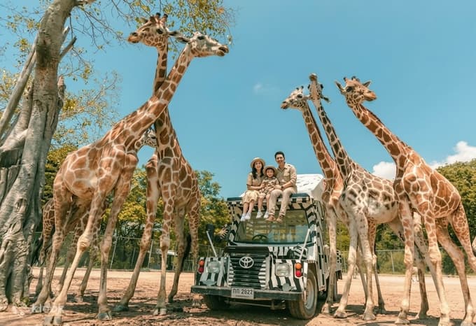 Thailand Family Tour | Pattaya Beaches, Bangkok Cruise & Safari World