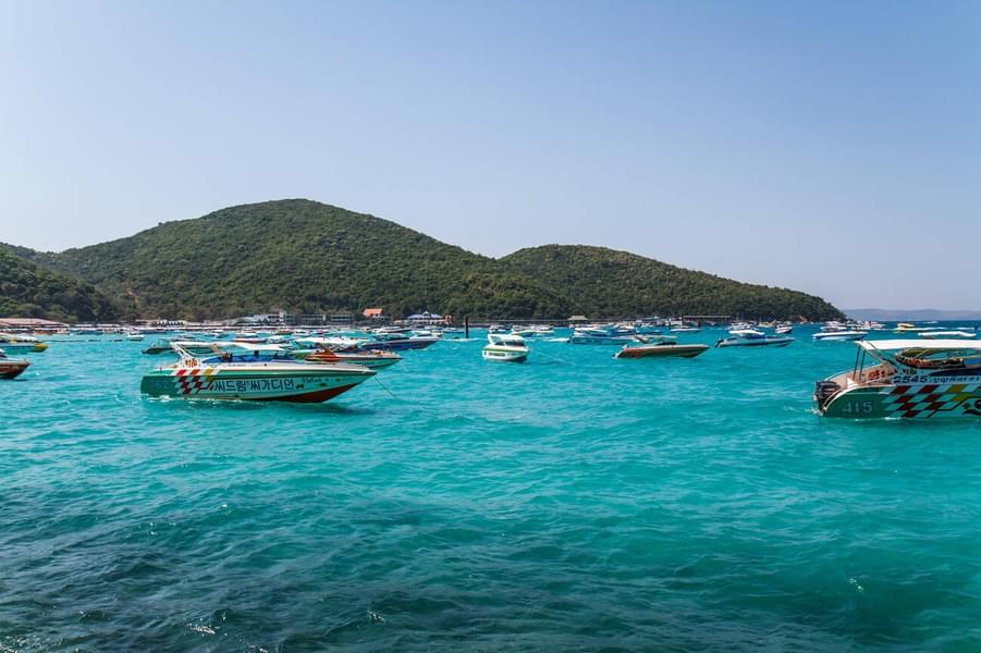 Coral Island Tour From Pattaya Image
