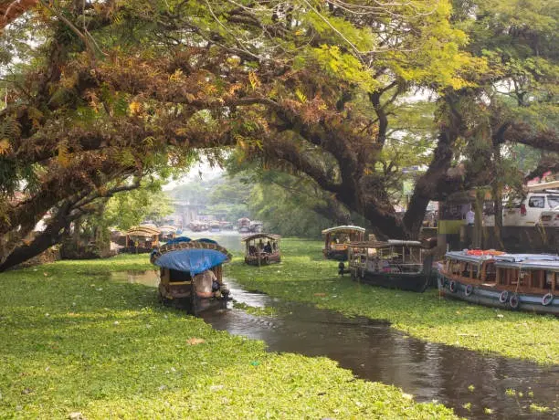 Vembanad Lake
