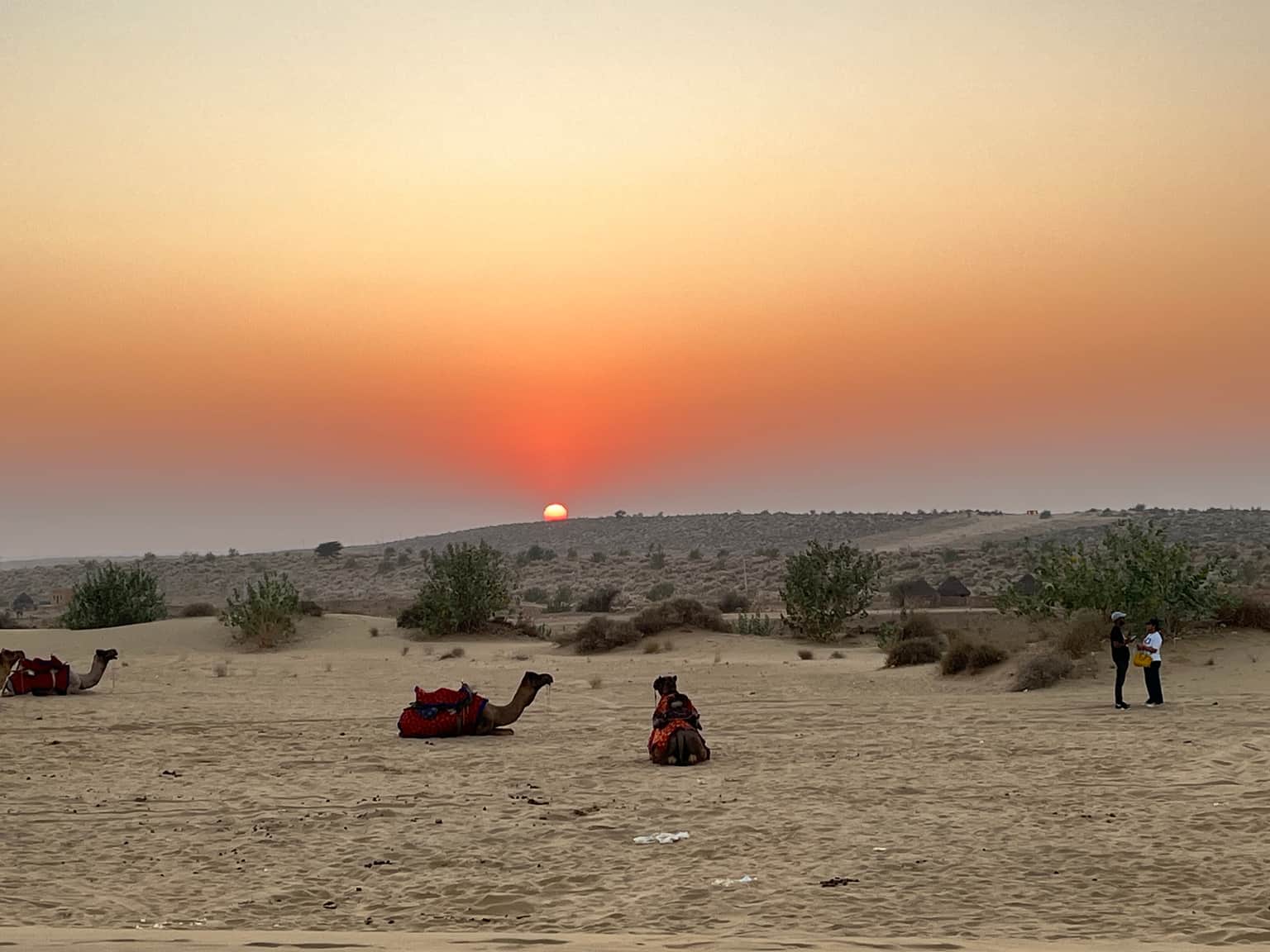 Photo from  Sonali  Sankh's trip