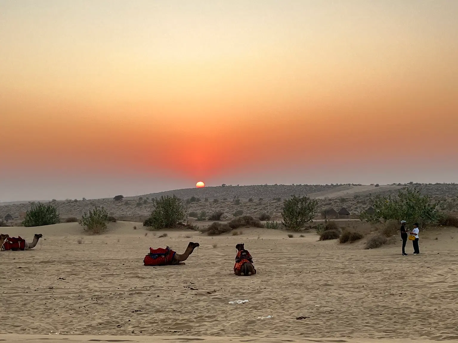Photo from  Sonali  Sankh's trip