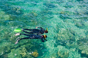 Fhkgzecal3v0iy11rwwx7ie018b4 snorkelers%20at%20great%20barrier%20reef%201