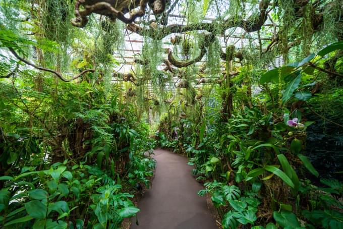 Garden By the bay