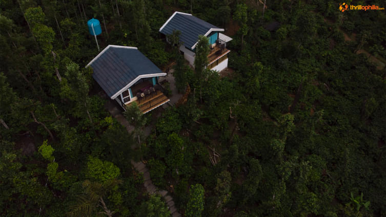 Aerial View amidst Lush Greenery
