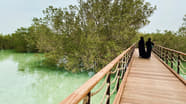 Jubail Mangrove Park Abu Dhabi How To Reach Best Time Tips Jubail Mangrove Park Abu Dhabi How To Reach Best Time Tips