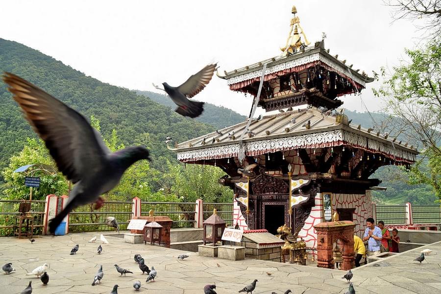 Kathmandu and Pokhara Tour For 5 Days Image