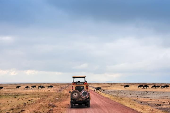 Serengeti Wildebeest Migration Safari.JPG