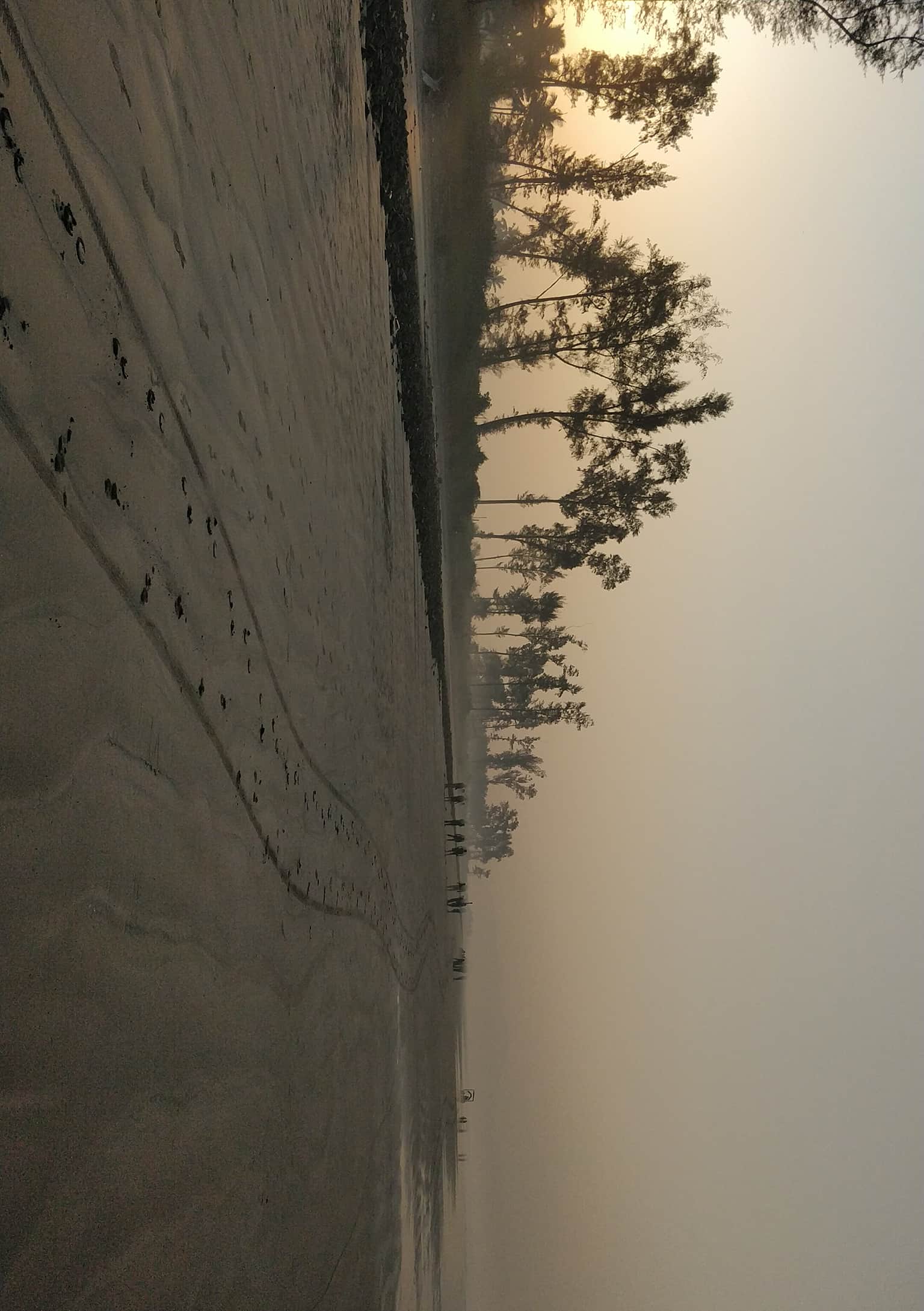Photo from ronak 's trip