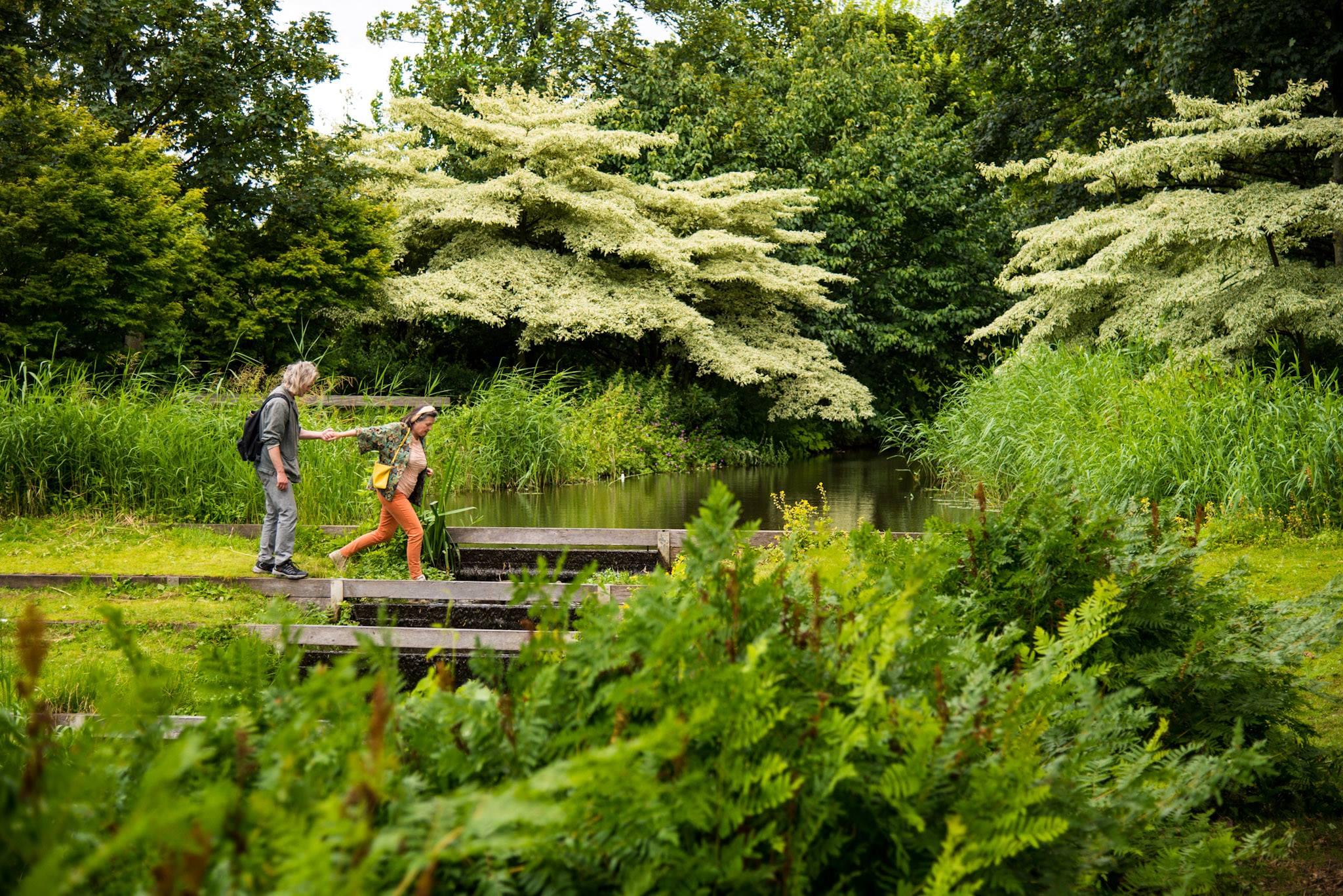 westerpark Overview