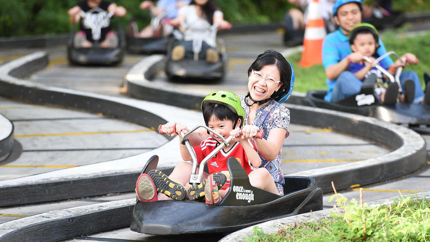 Book skyline luge sentosa ticket Enjoy a gravity-fuelled ride with your little ones