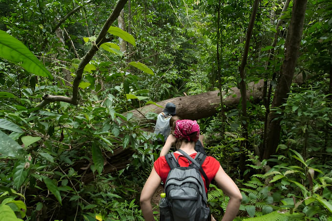 Journey deep into Krishnagiri’s wilderness on this 11 km trail