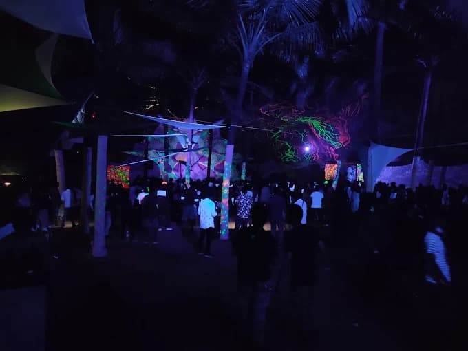 Follow a full psytrance night