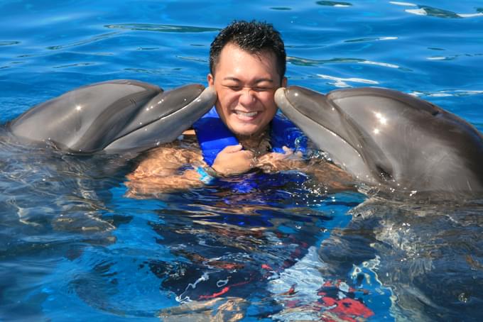 Shallow Water Experience at Dubai Dolphinarium