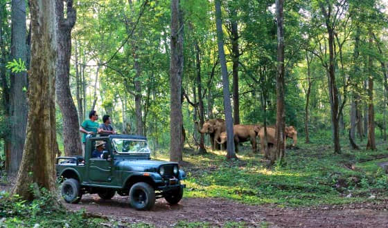 Muthanga Wildlife Safari Image
