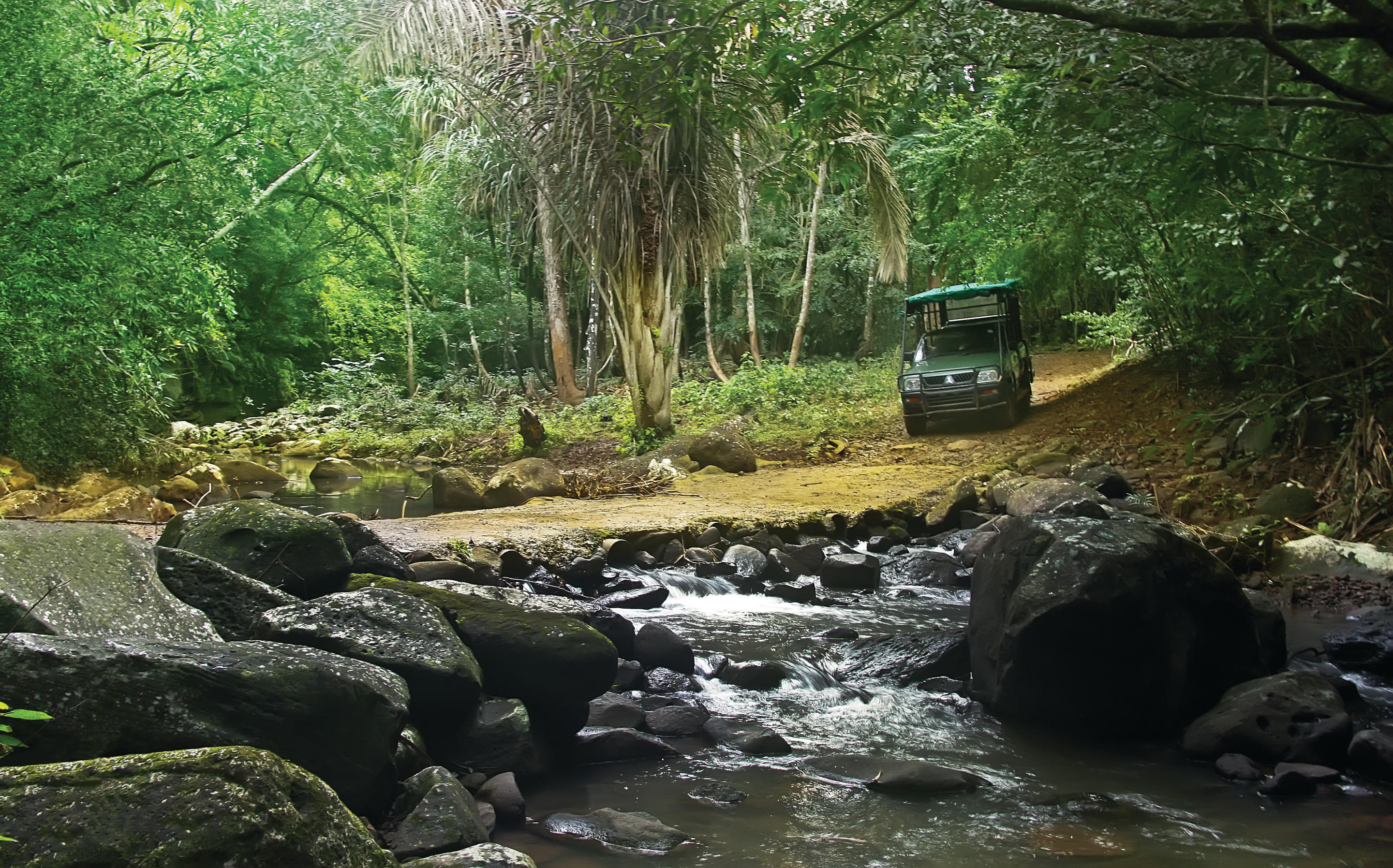 Bel Ombre Nature Reserve Overview