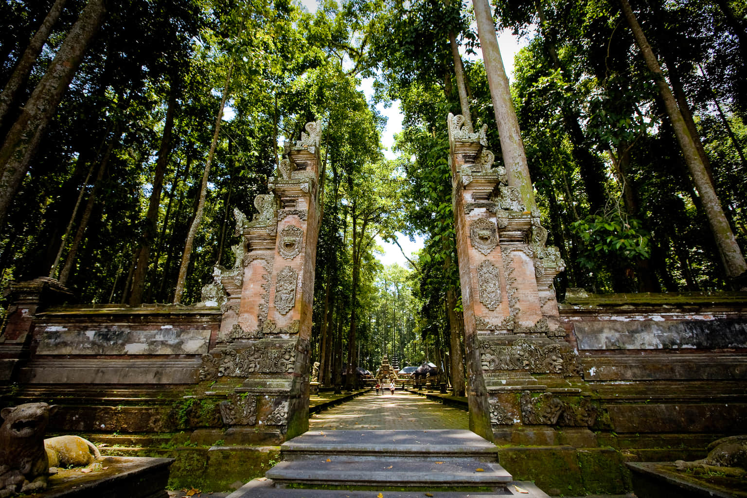 Ubud Monkey Forest, <em>Ubud</em>