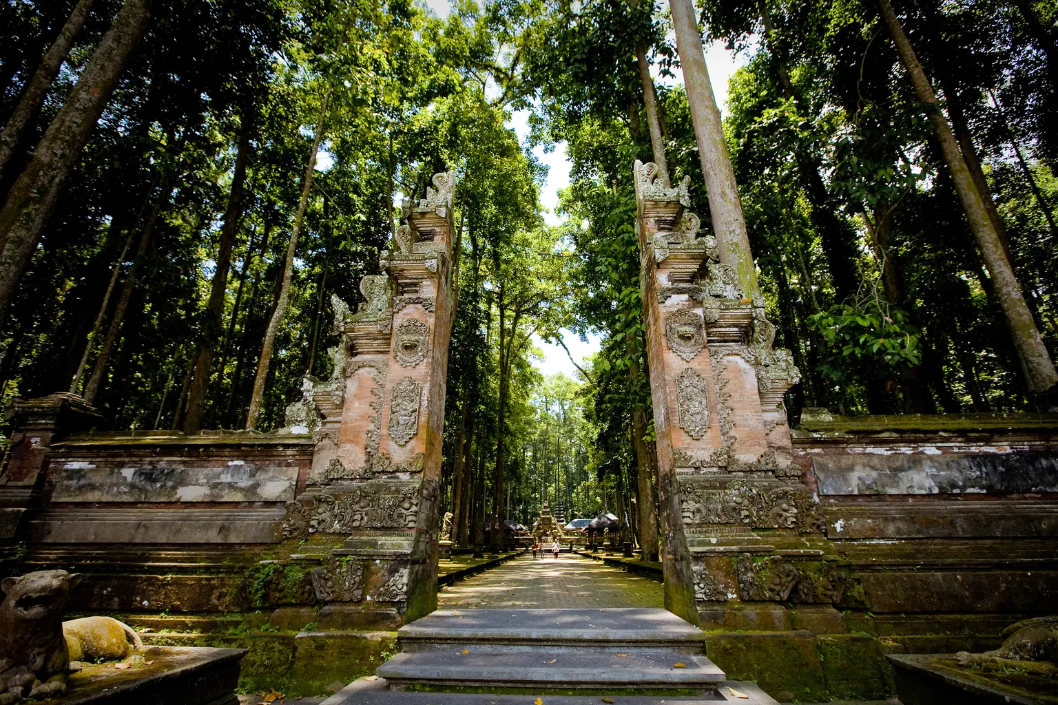 Ubud Monkey Forest