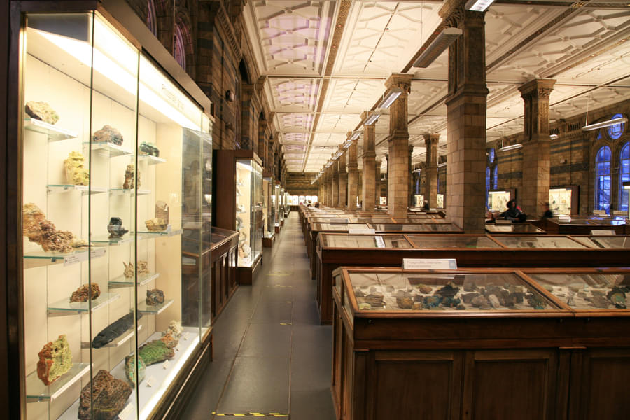Natural History Museum London Image