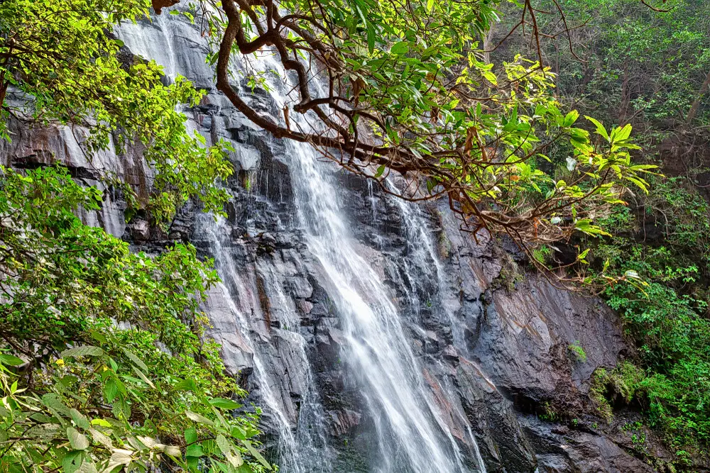 Bee Falls