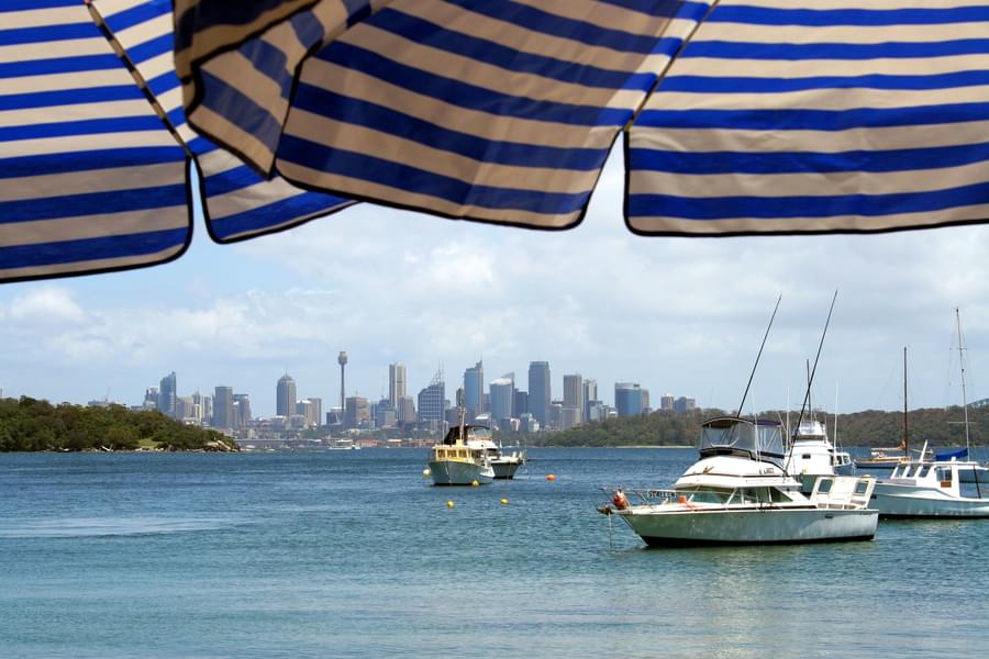 Sydney Harbour Lunch Cruises