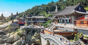 Flb8tu0ascss6wjickezrl65n51g 1591758492 busan 3