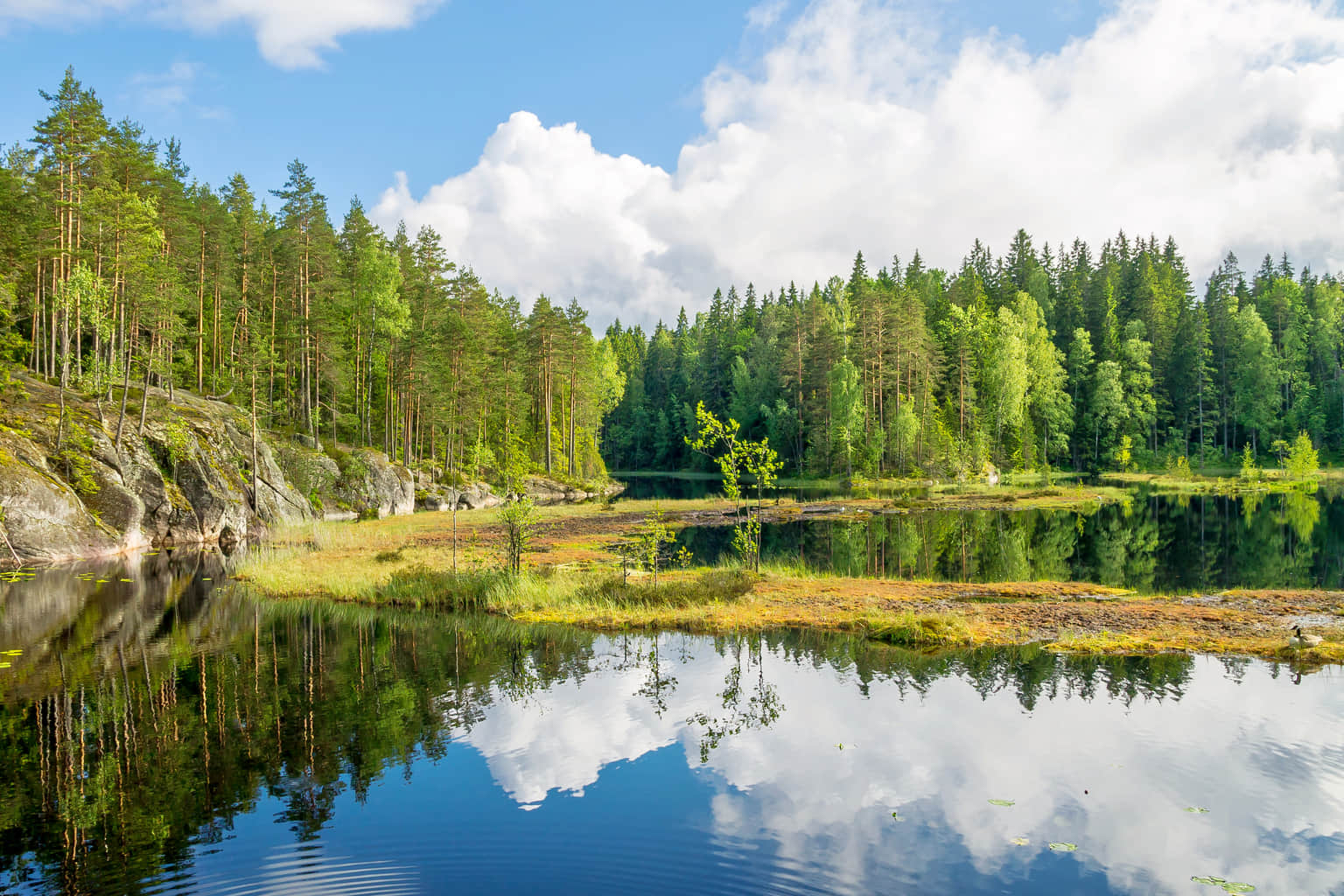 Nuuksio National Park, <em>Finland</em>