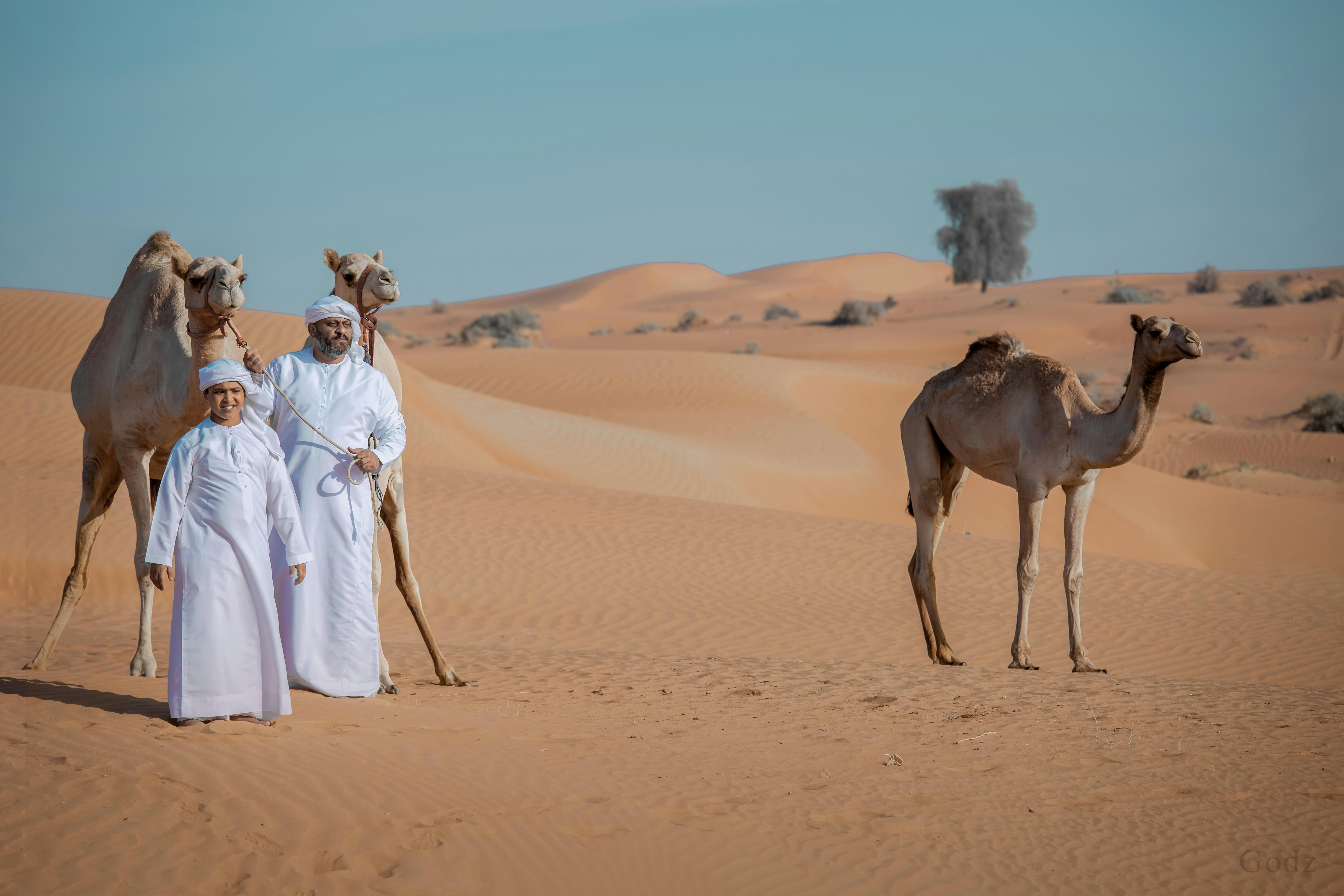 Things to Do in Ras al-Khaimah