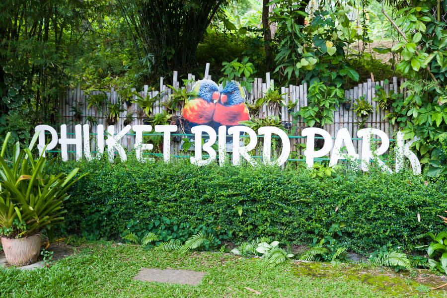 Phuket Bird Park Tickets Image