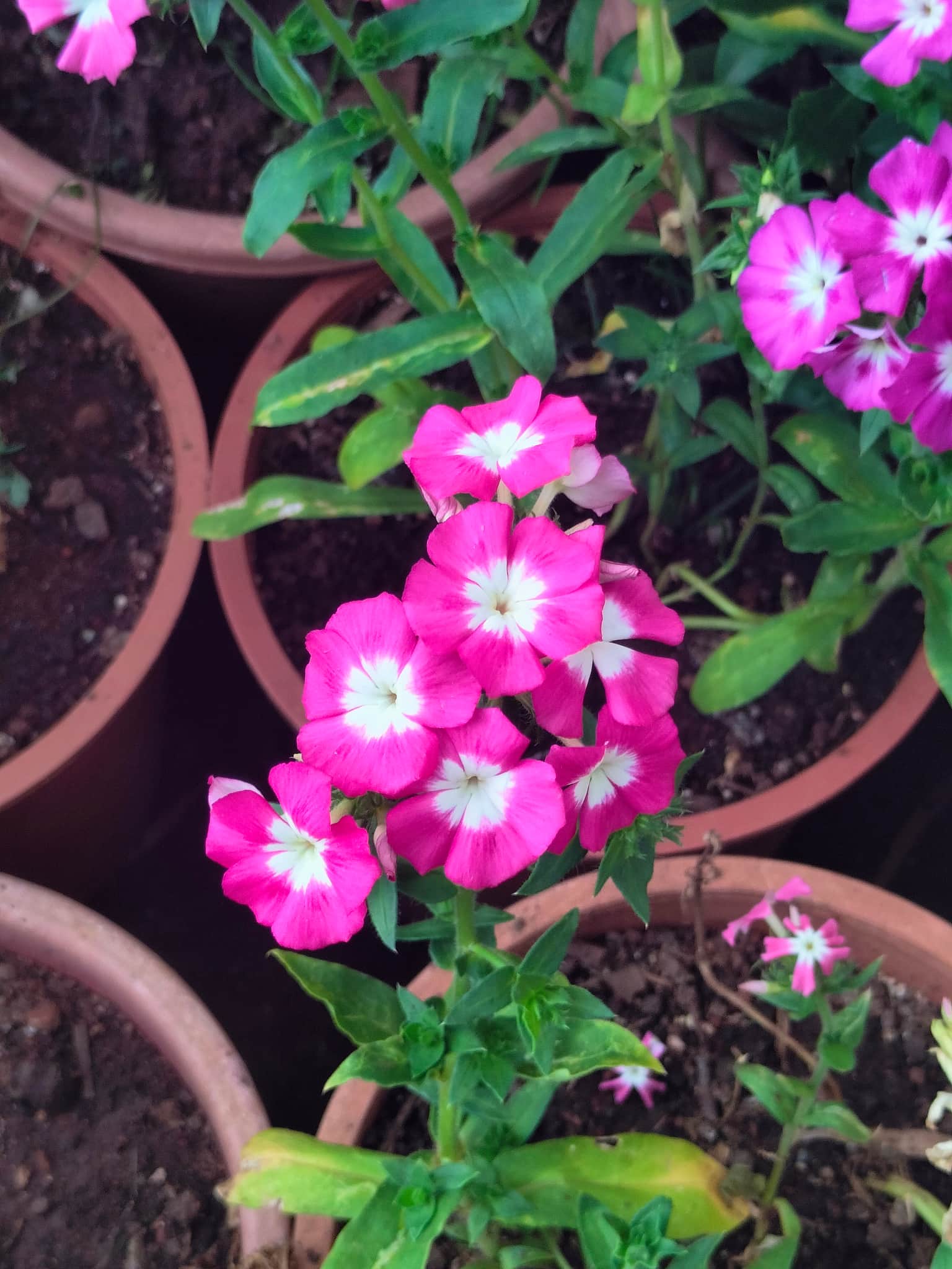 Photo from sivva dharini's trip