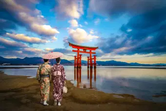 Marvel at the stunning Beauty of the floating Torii Gates