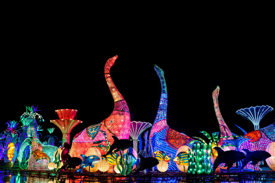 Dubai Garden Glow Ticket Image
