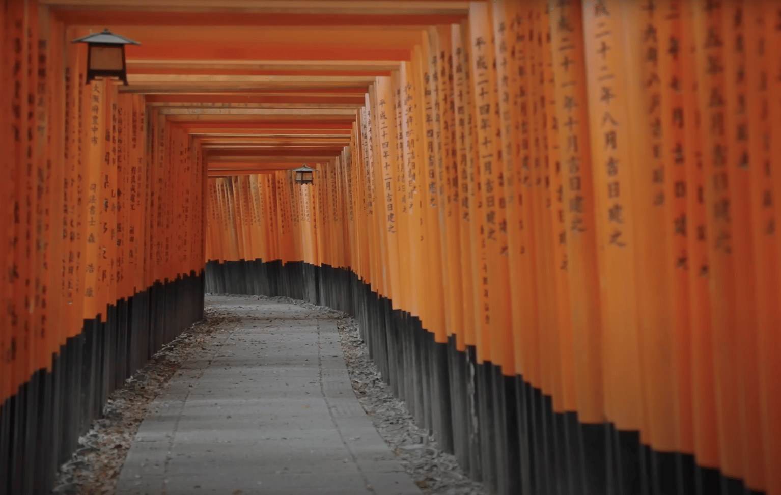 Photo from Suman Ganaka's trip